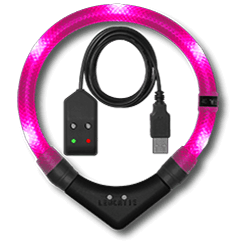 Leuchthalsband LEUCHTIE Easy Charge